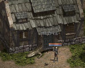wani.jpg